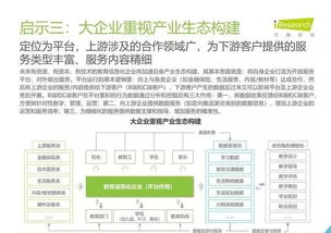 2019年中国教育信息化行业报告 信息技术咨询服务的战略角色与发展路径